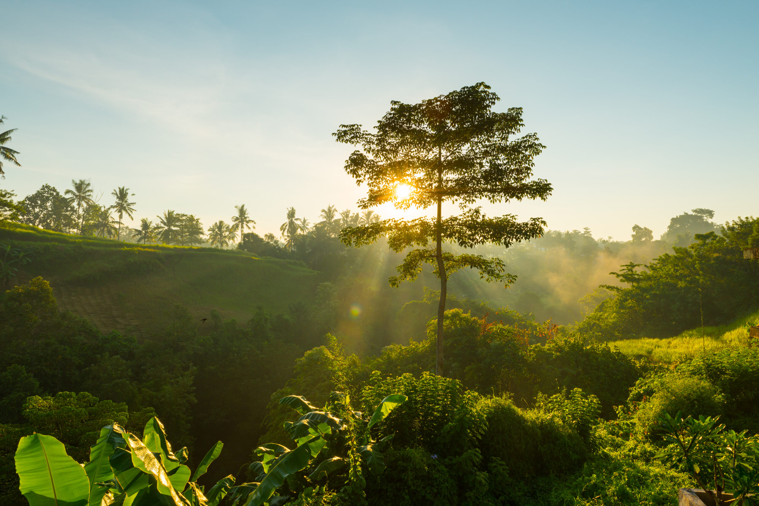 Limpeza Sustentável: Como Escolher Produtos Ecológicos para o Seu Negócio