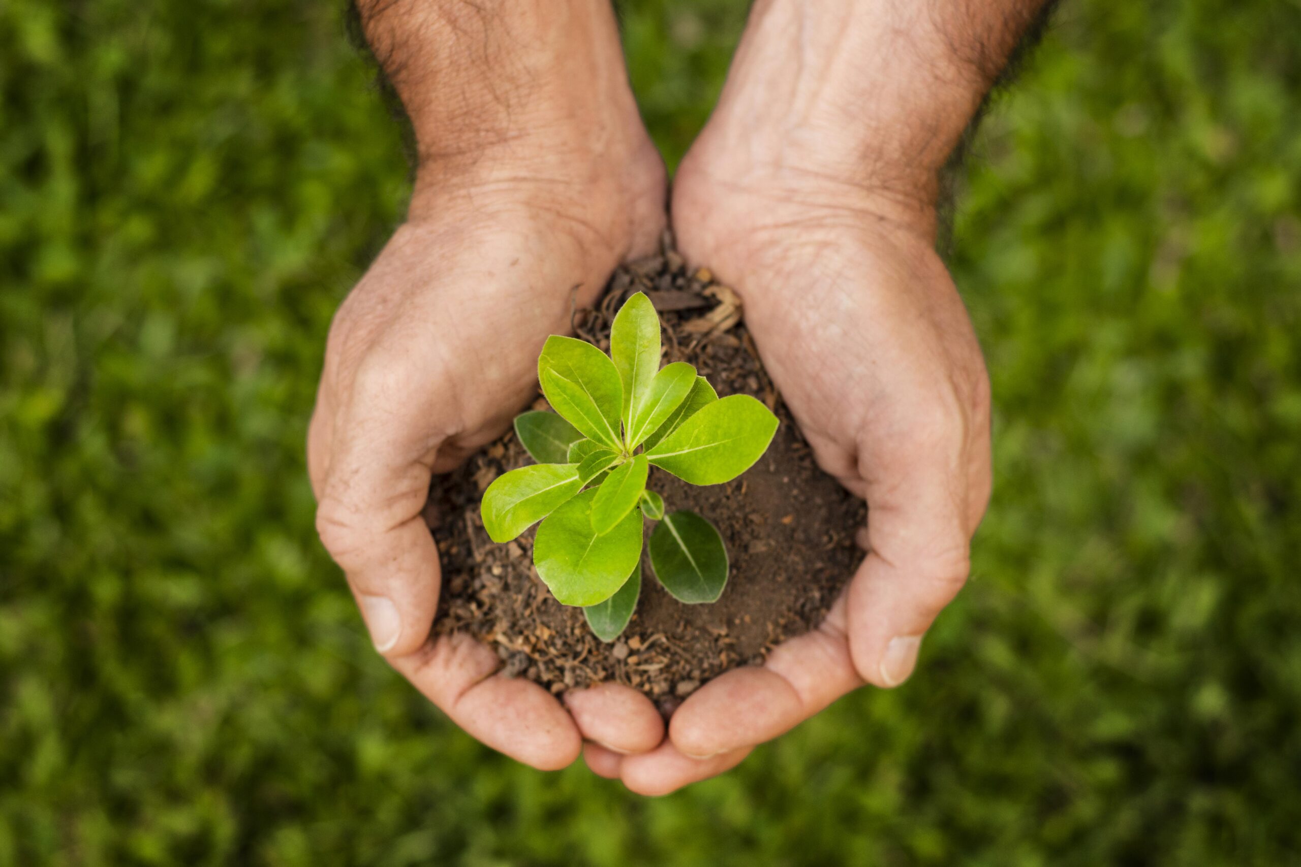 Limpeza e Sustentabilidade: Como Manter os Ambientes Higienizados Sem Prejudicar o Meio Ambiente